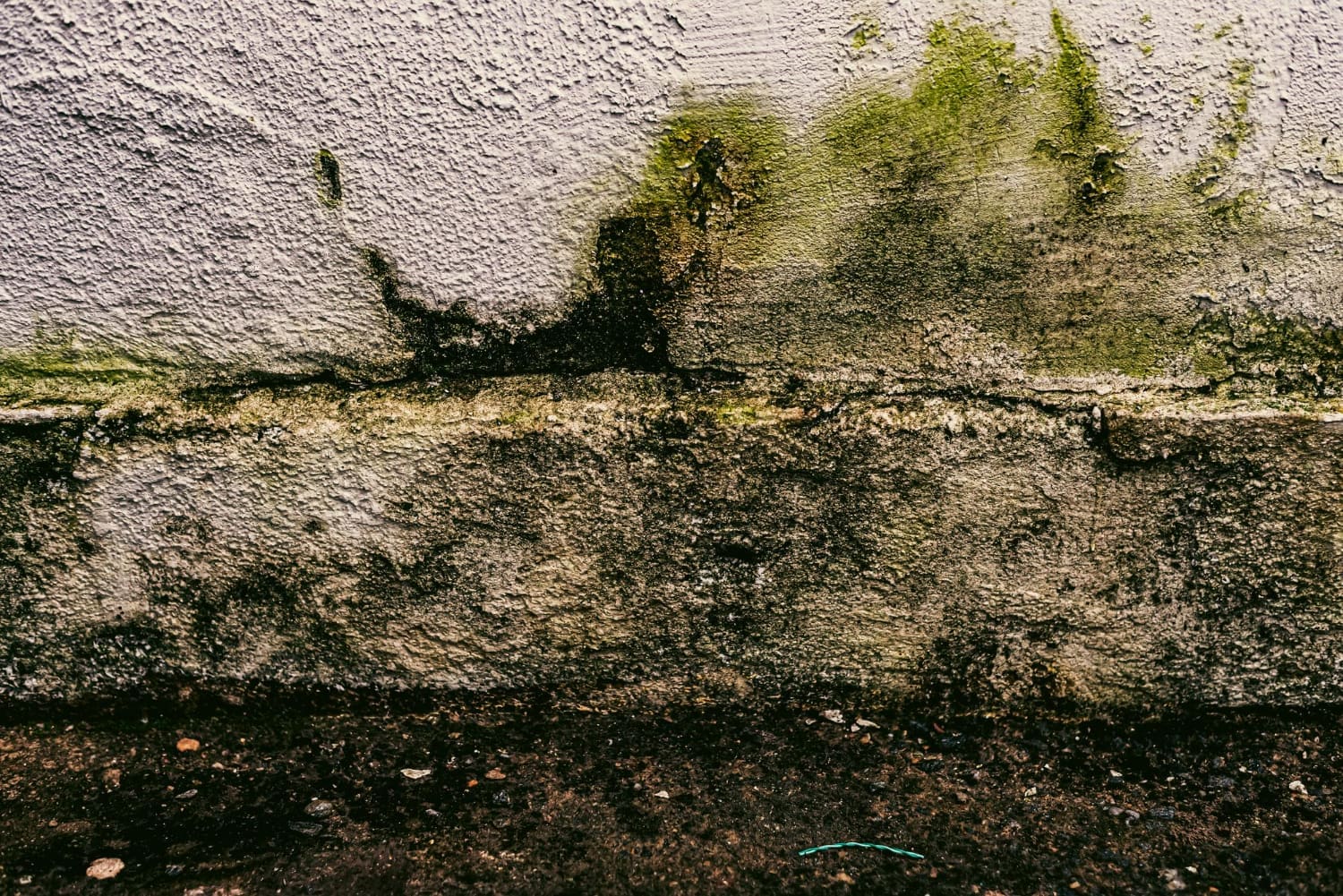 Damp and Moisture Problems Uncovered in Home Surveys