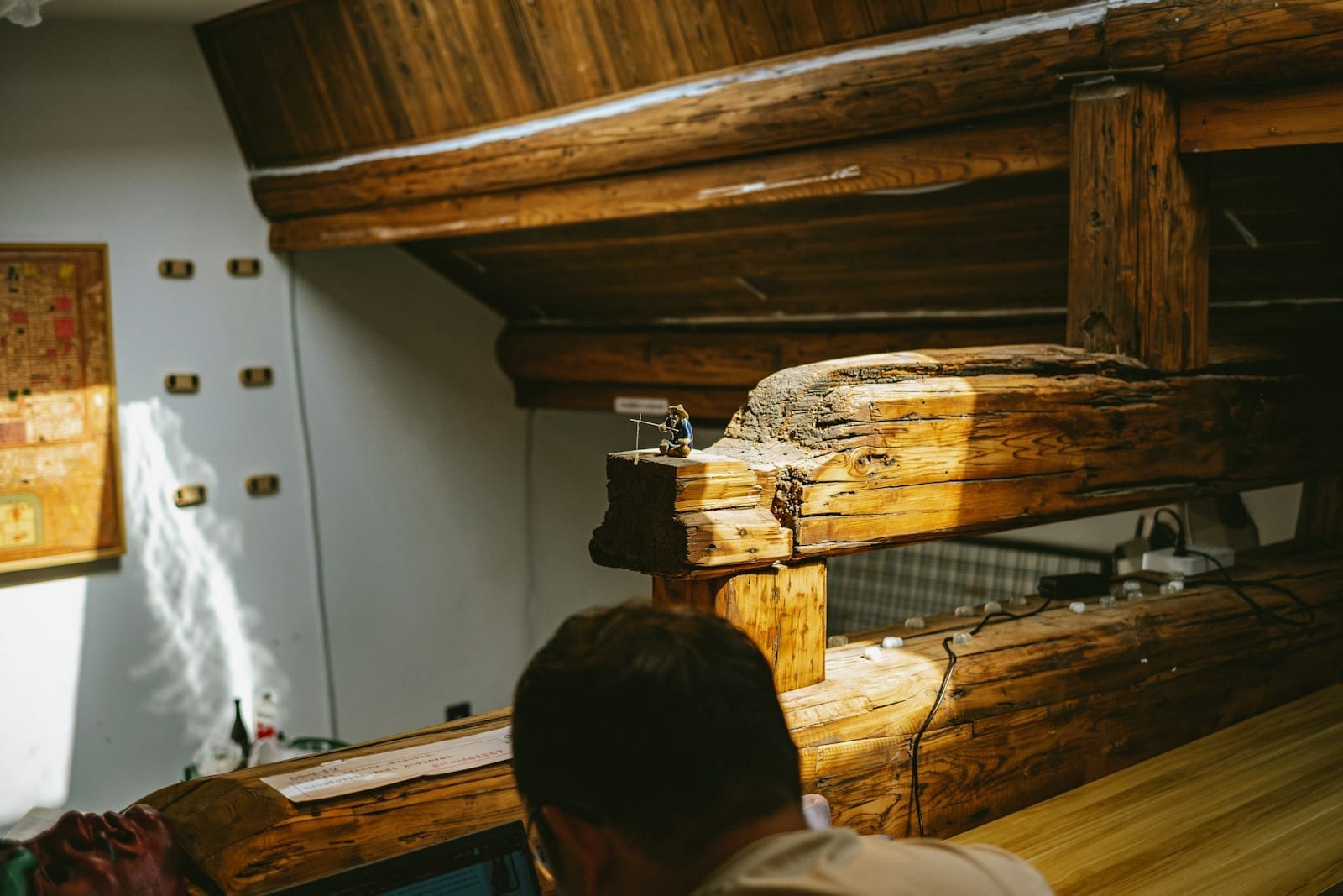 Dry Rot in Houses: Early Signs