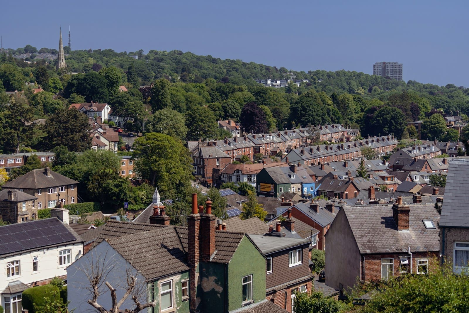 Which Survey Do I Need to Buy a House? Level 1